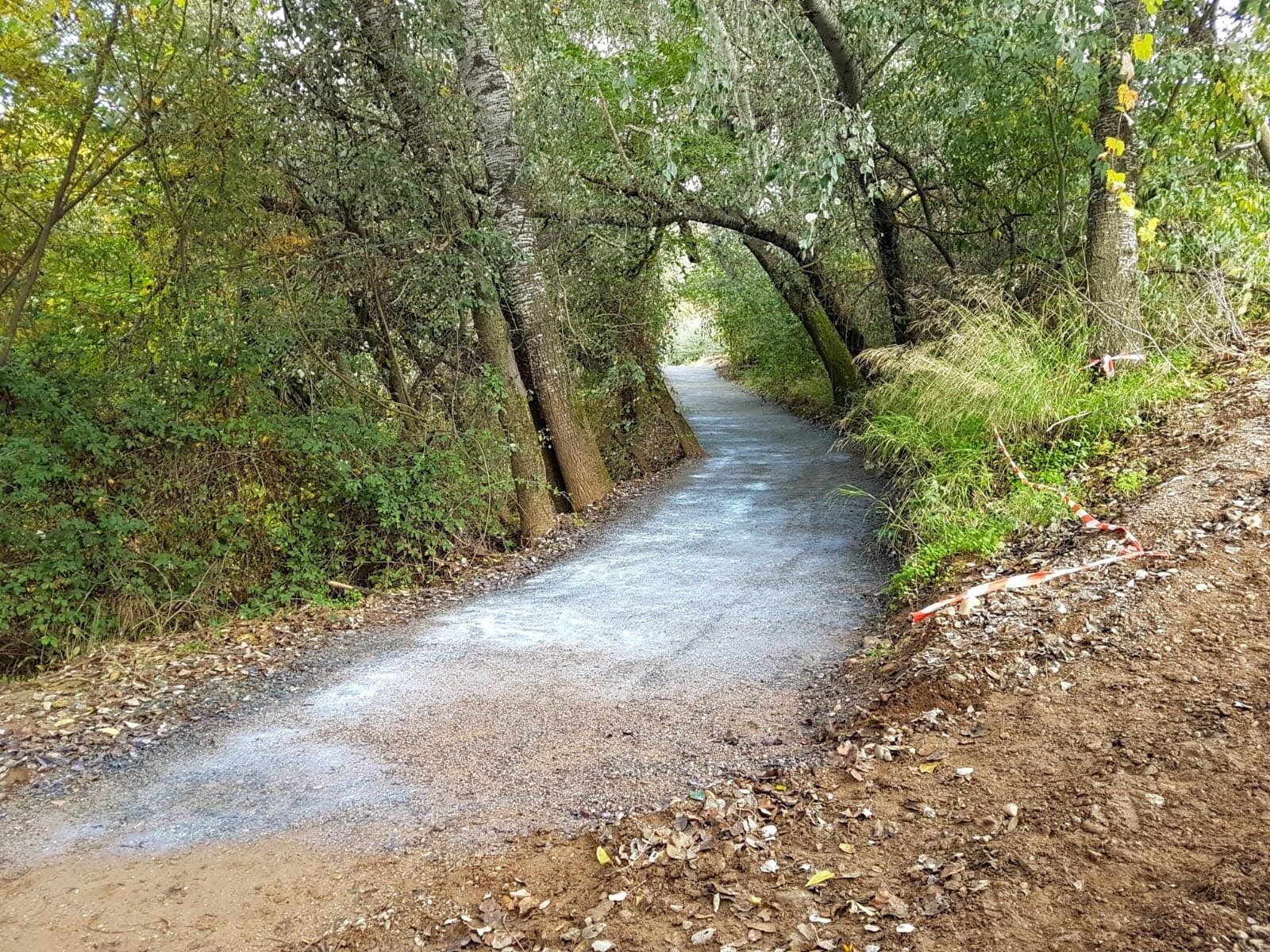 Camino estrecho estabilizado entre vegetación densa